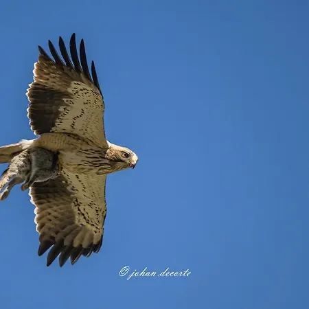 Rural Fuente La Teja לינה וארוחת בוקר