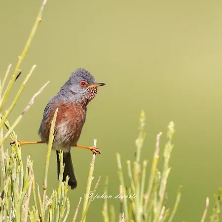 לינה וארוחת בוקר Rural Fuente La Teja גואחר-סיירה