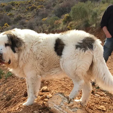 Rural Fuente La Teja 3* גואחר-סיירה