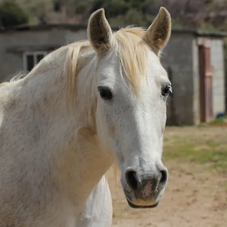 Bed and breakfast Rural Fuente La Teja
