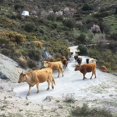Rural Fuente La Teja Nocleg ze śniadaniem 3*