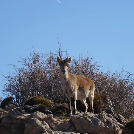 Rural Fuente La Teja Nocleg ze śniadaniem Güéjar Sierra